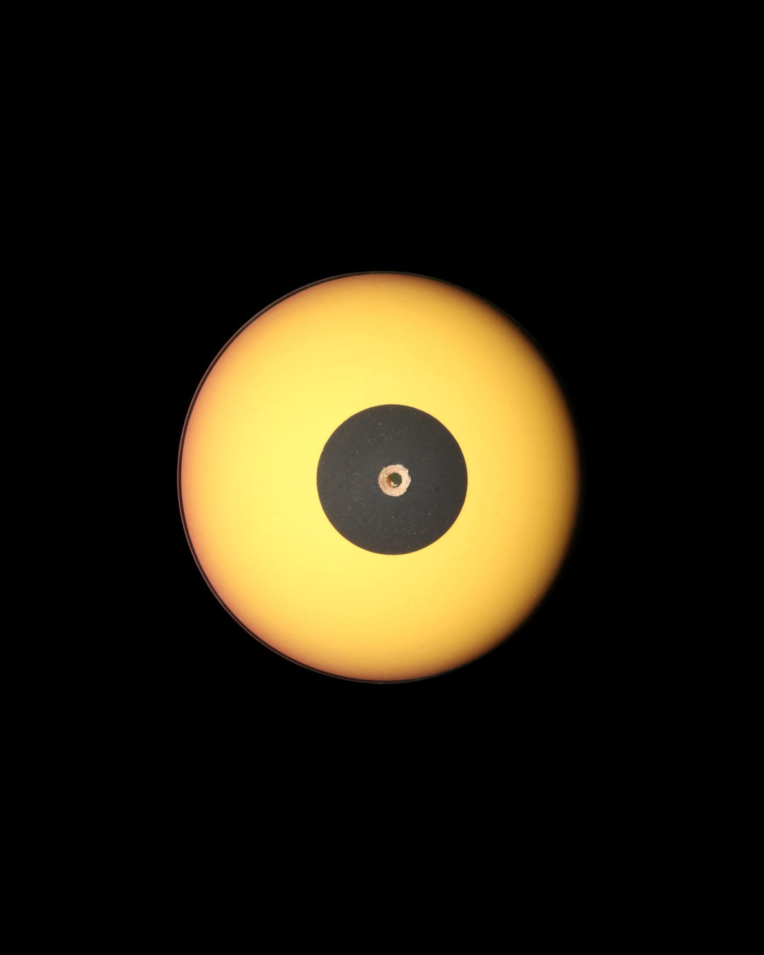 Golden Hour - Tama Only - Tama only - 4