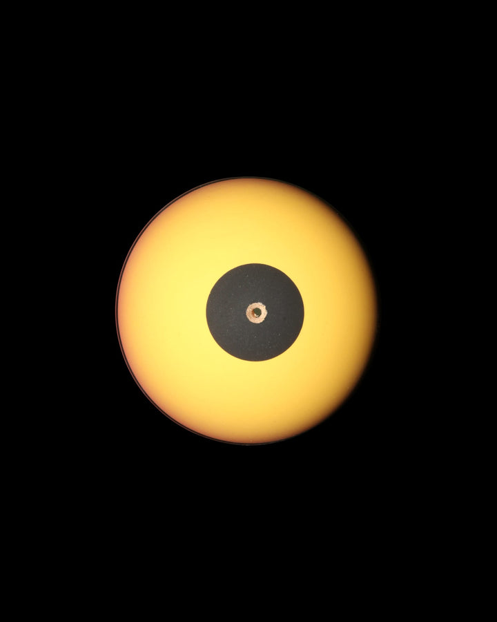 Golden Hour - Tama Only - Tama only - 4