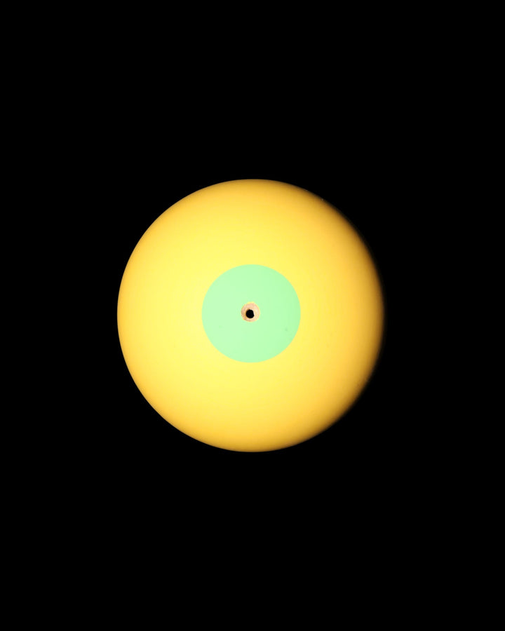 Mustard Pop - Tama Only - Tama only - 3