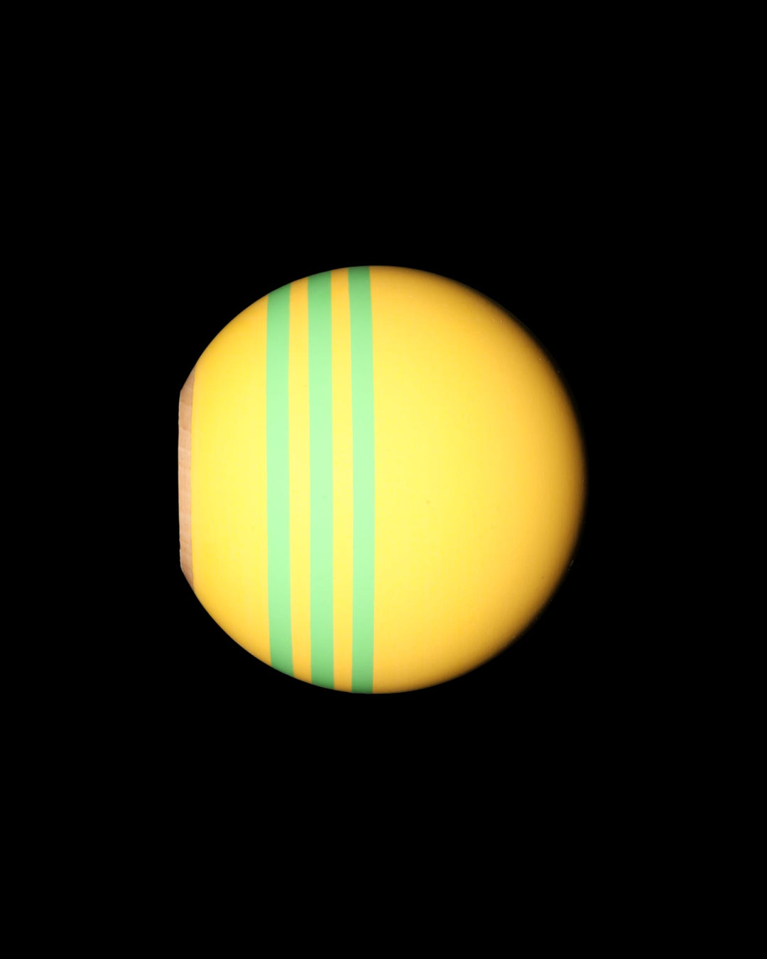 Mustard Pop - Tama Only - Tama only - 4