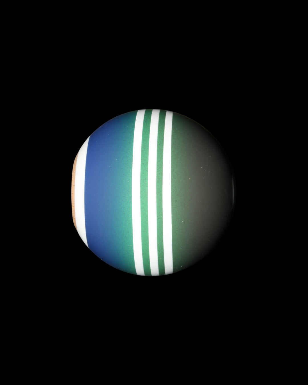 Mustard Pop - Tama Only - Tama only - 6