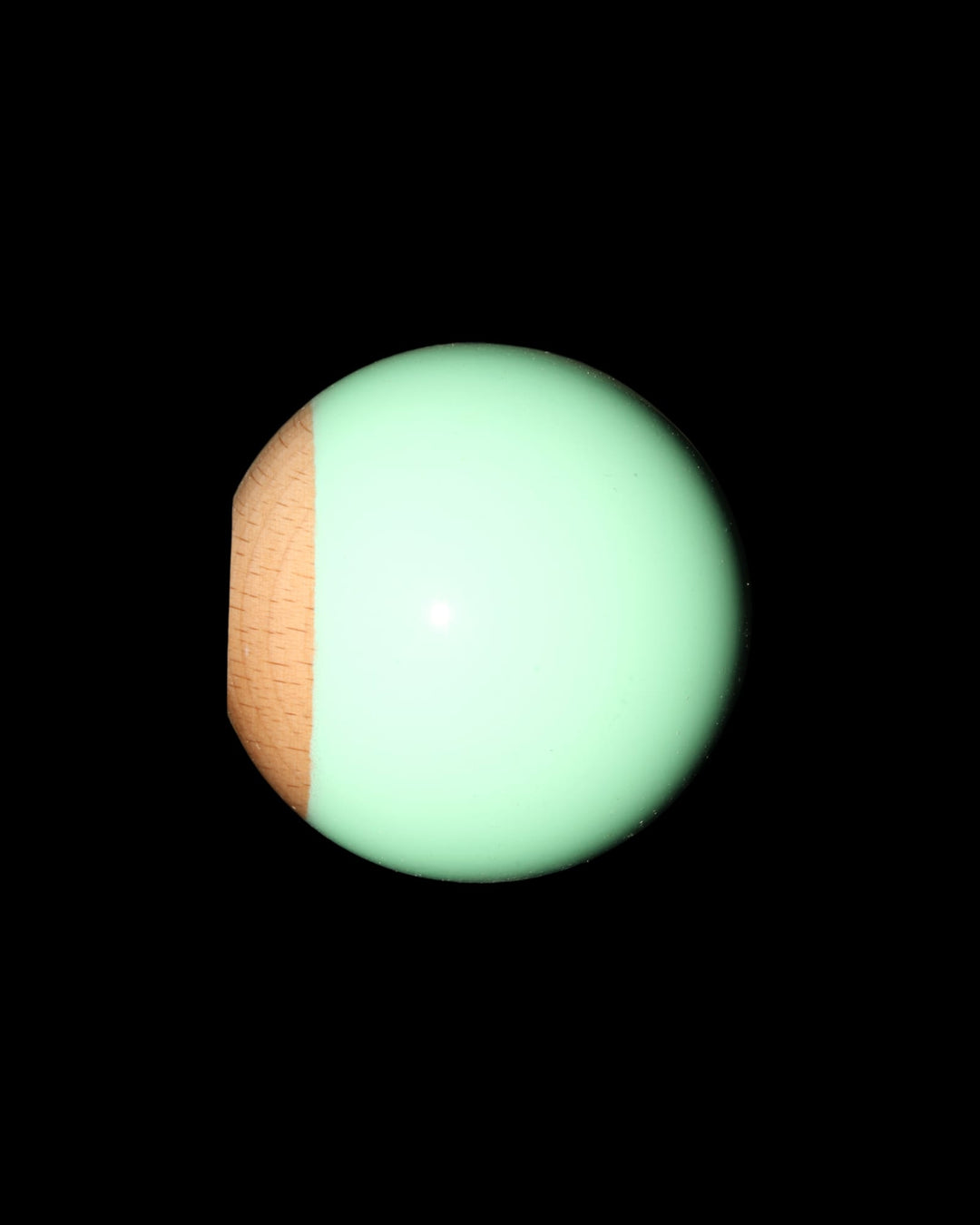 Pastel - Mint - Tama Only - Tama only - 5