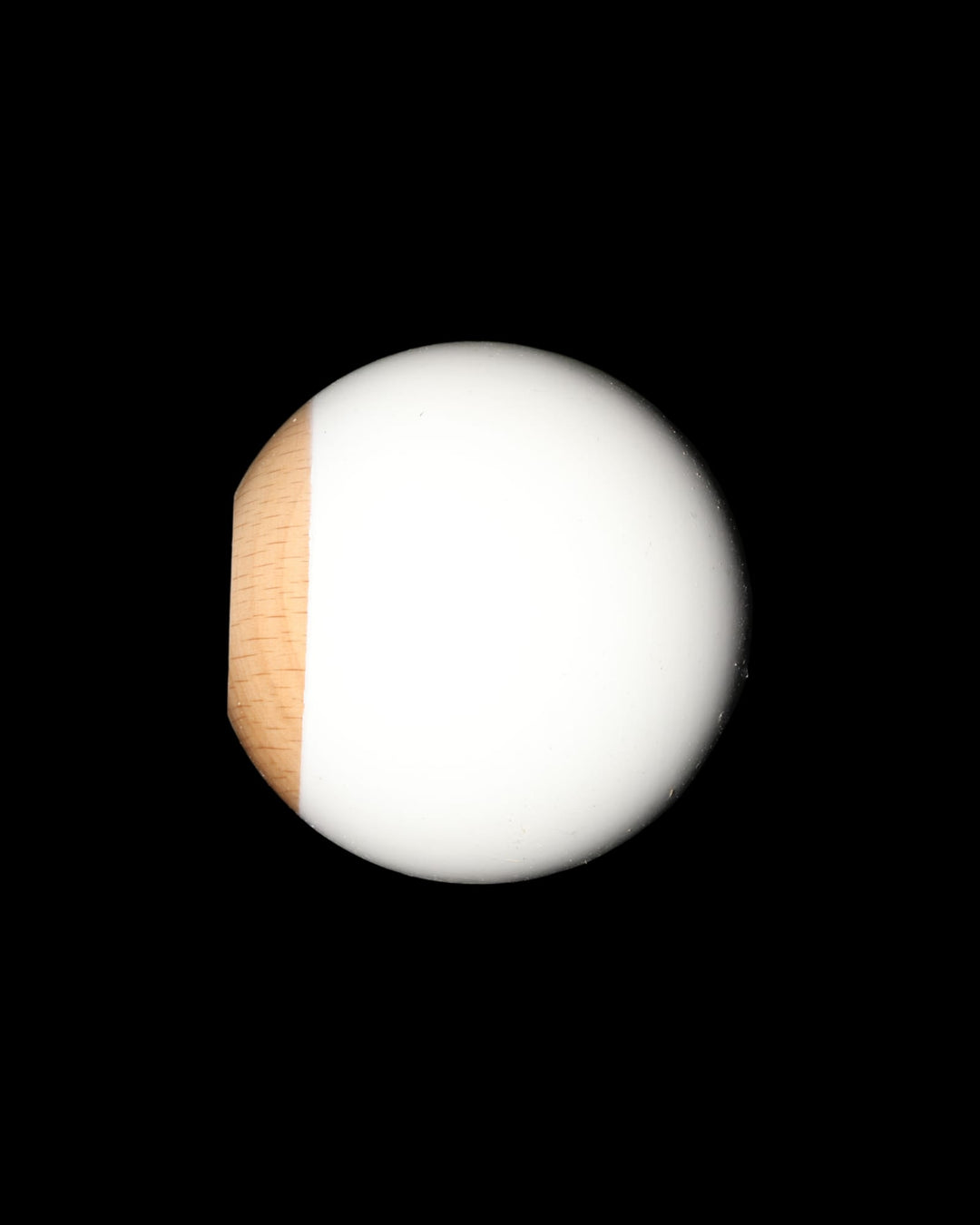 Pastel - White - Tama Only - Tama only - 4