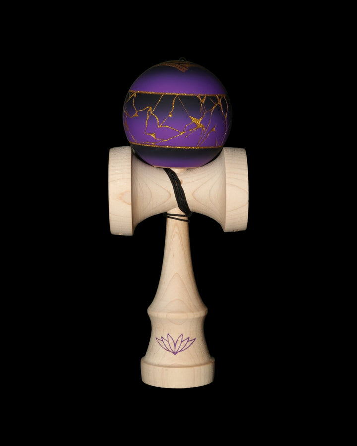 Ryoga Champ Mod V2 - Complete - 5